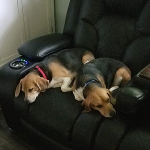 Meet your Posher, Linda